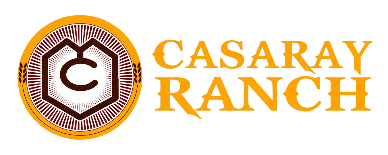 casaryy